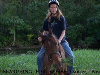 SEARCHING FOR HORSE Dancer,  Near Plymouth, WI, 53073